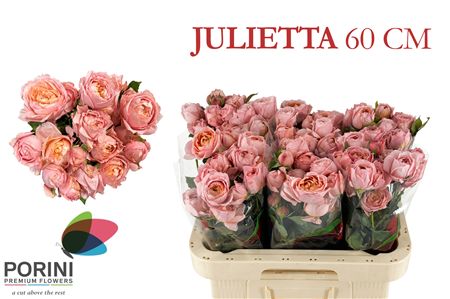 R Tr Julietta